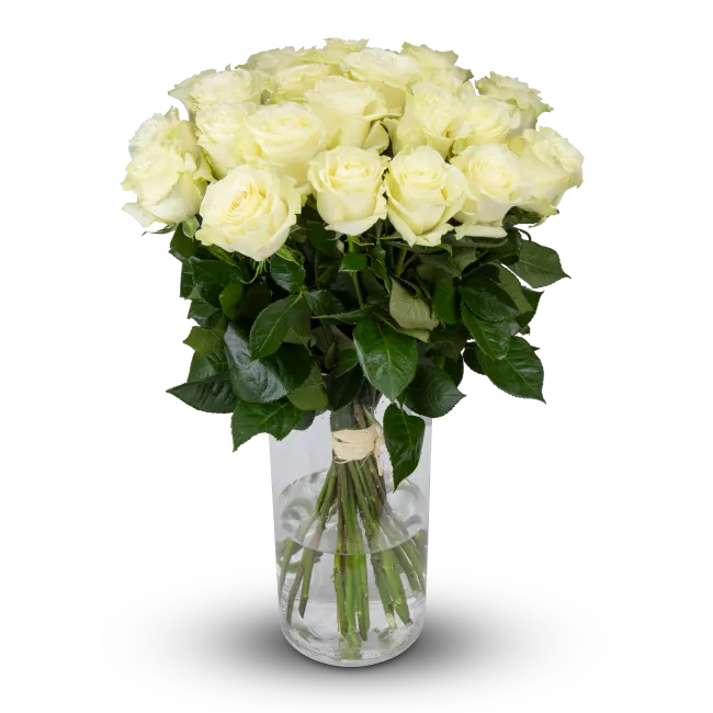 bouquet of Ecuadorian roses 80cm